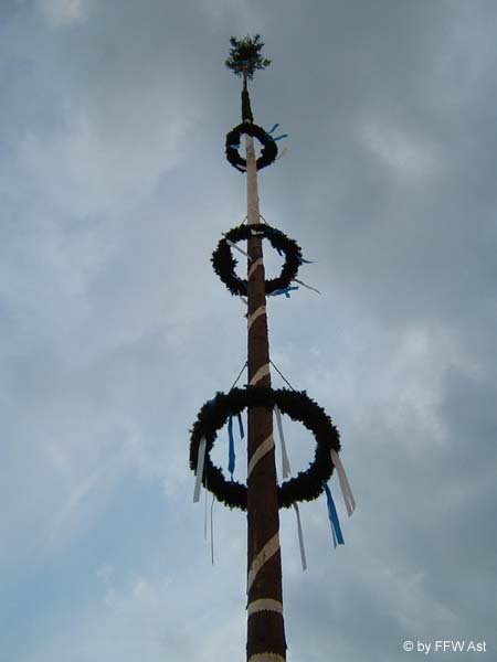 T. der Baum steht
