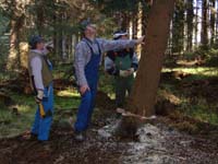 G. der Baum wehrt sich