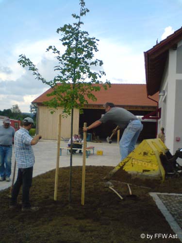 Bild26